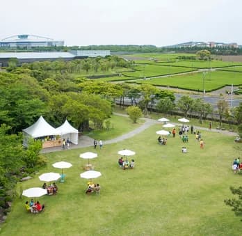 Región de Los Ríos