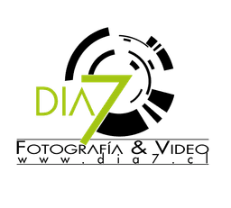 Día 7